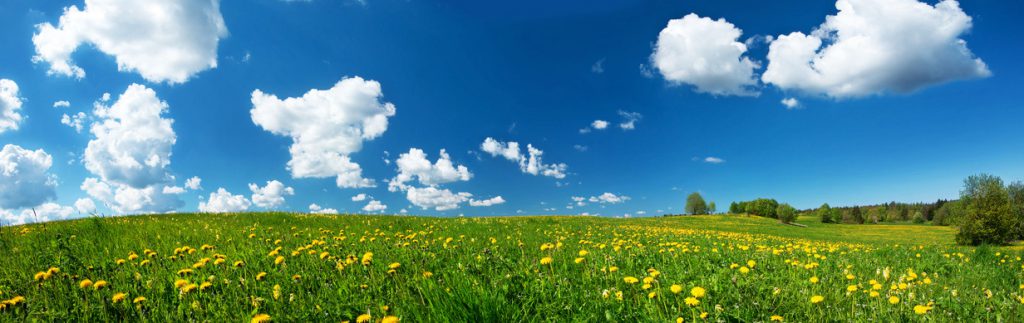 Wolken am Himmel, Gedanken im Kopf... Meditation